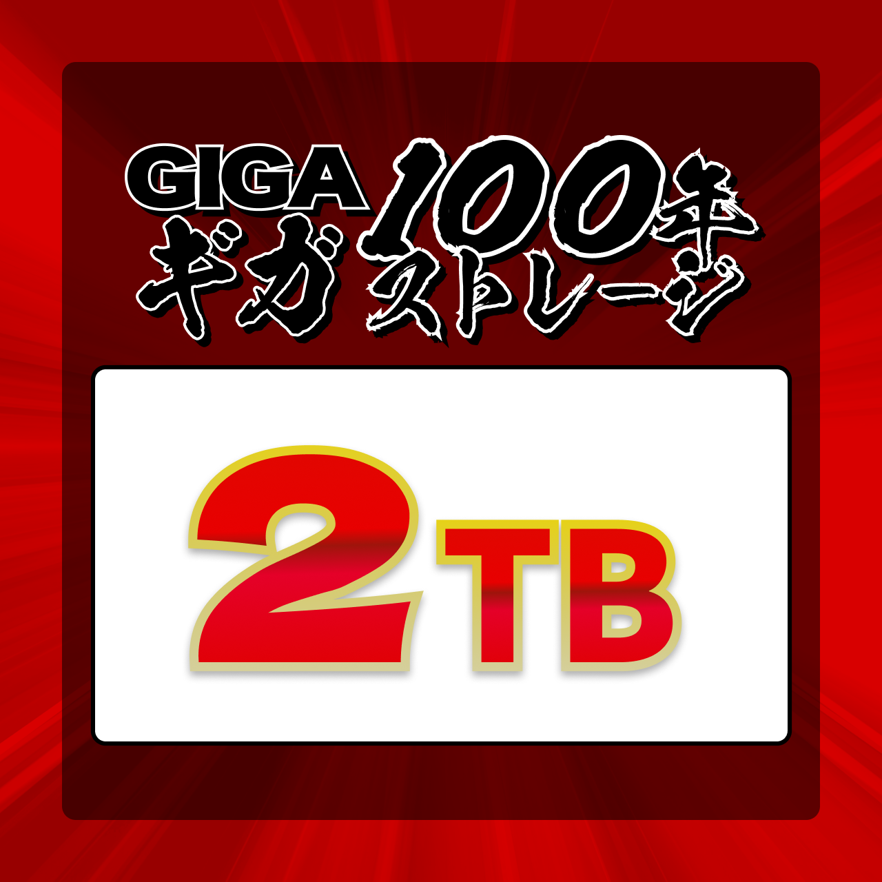 【2TB】ギガ 100年ストレージ